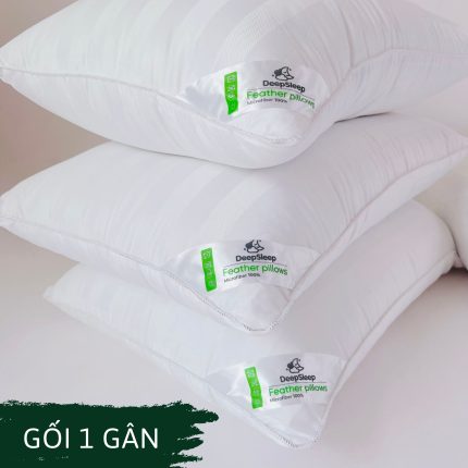 Ruột gối 1 gân