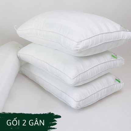 Ruột gối 2 gân